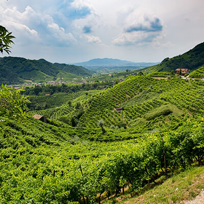 Page Was ist Prosecco, Conegliano Valdobbiadene Prosecco DOCG Gebiet Hügelland 400x400