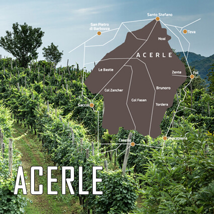 Acerle – Valdobbiadene Prosecco DOCG Kellerei Acerle – Valdobbiadene Prosecco DOCG Kellerei in Santo Stefano di Valdobbiadene mit ausgezeichnetem Extra Brut im Sortiment